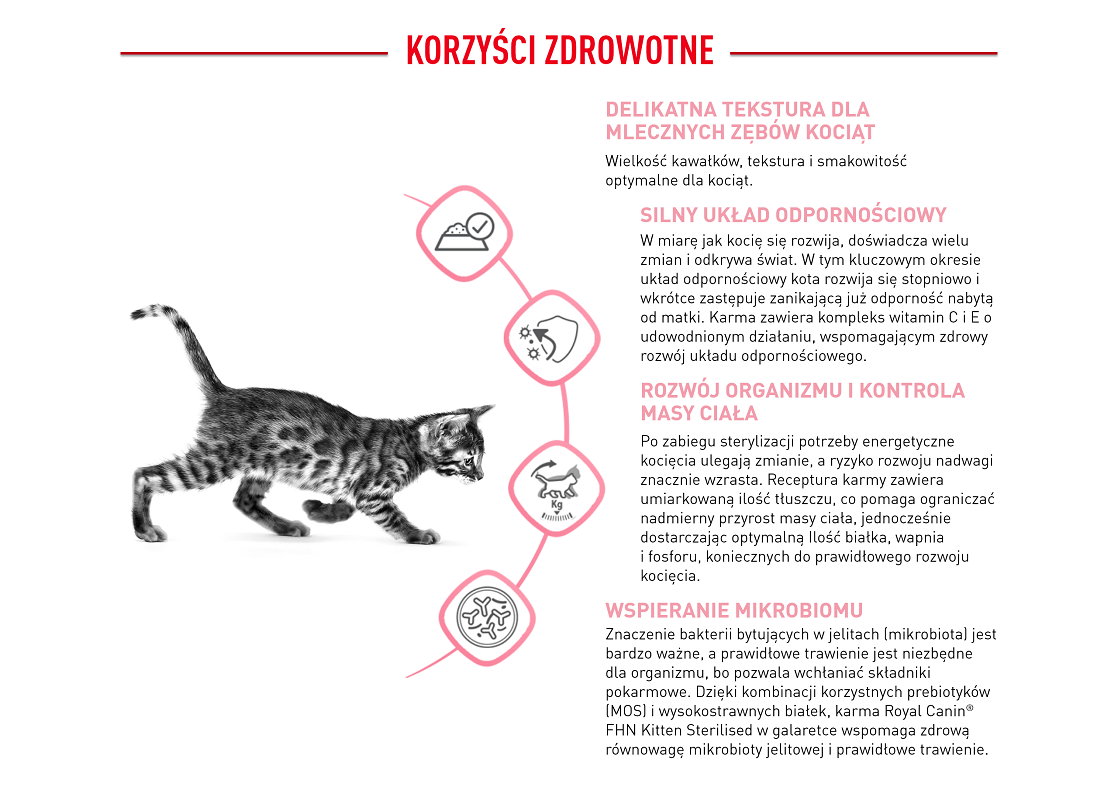 ROYAL CANIN Kitten Sterilised in jelly 12x85 g